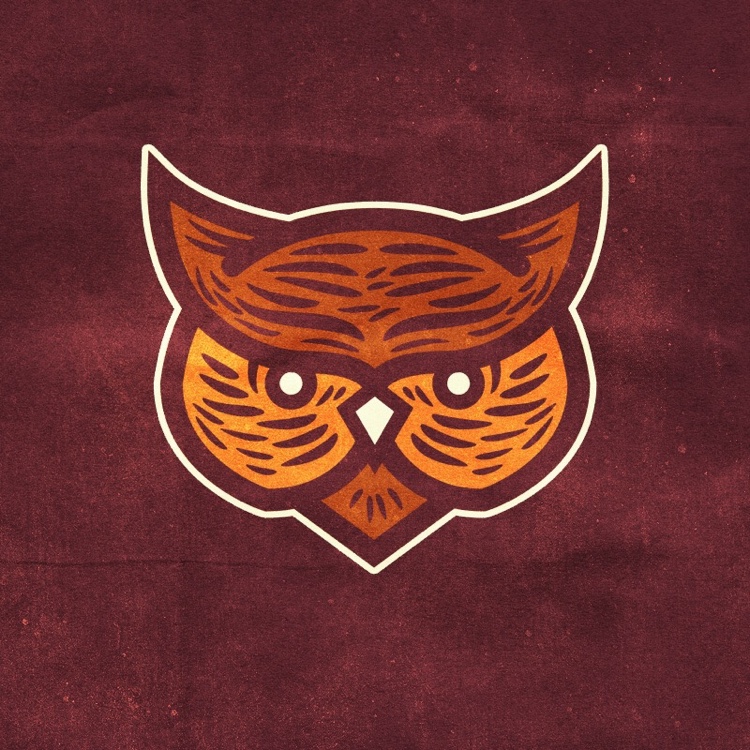 Day 12: Owl